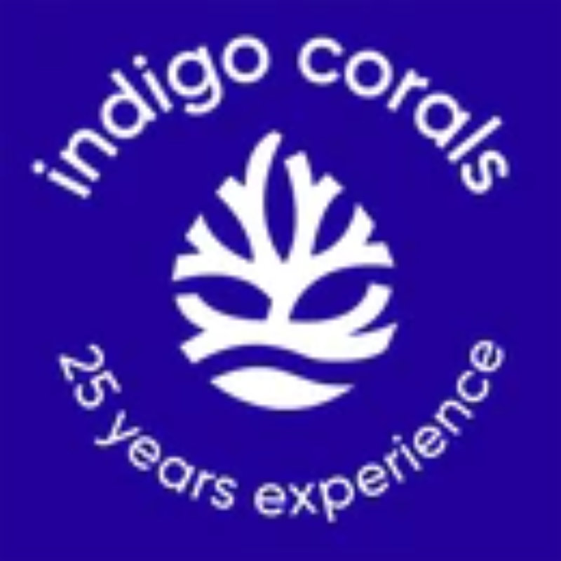 Indigo Corals